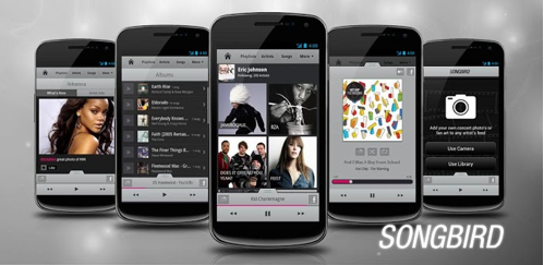com.songbirdnest.mediaplayer&feature.screen