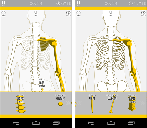 com.digitalgene.anatomypuzzle-7