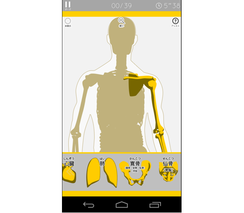 com.digitalgene.anatomypuzzle-8