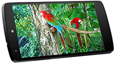 イー・モバイル版Nexus 5（EM01L）に対してAndroid4.4.4へのアップデート配信開始