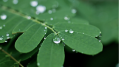 【オクトバセレクト】これからの時期に手放せないアプリ！梅雨に負けないお天気＆通知アプリまとめ