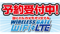 業界最安 月480円から10GBプランまで！ワイヤレスゲートがLTE対応SIMカード4プラン発表、ヨドバシカメラで販売