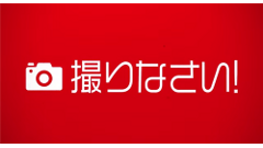 【スマホヘッドライン】4年振りの描き下ろし新作！ハルヒの「カケラ」を集めろ！ほか-2014/06/03-