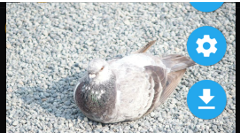 PhotoLinkViewer : オリジナル画質でダウンロードできる！Twitterクライアントで使える画像ビューア！