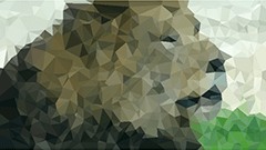 スマホ内の画像から低ポリゴンの画像を作成するアプリ : PolyGen – Create Polygon Art