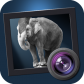 20150526-sale-icon001
