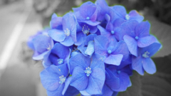 Adobe Photoshop Mix : あのAdobeの写真加工アプリ！合成も簡単にできちゃう！