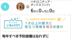 まいにちのいぬ・ねこのきもち : 飼い主さん必見！犬や猫に関するお役立ち情報が毎日更新