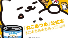 ねこ好き歓喜！！「ねこあつめ」公式ファンブックが6月29日に発売決定！