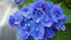 ヘッドライン : Googleの人工知能が見る夢「Deep Dreams」を簡単に試せるジェネレーターが面白い！