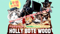 ヘッドライン : 監督も俳優も猫！？DMMが動画コンテンツ特集「HOLLY BOTE WOOD」を公開中！
