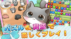 究極の癒し系にゃんこ育成パズル – キャットライフ : ネコ好きにはたまらない！パズルをしながらにゃんこを育てよう！