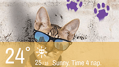 Weather Whiskers App & Widget：猫好きにはたまらない！猫の画像とアイコンがかわいい天気予報アプリ