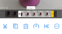 VivaVideo Pro : 撮影も編集もこれ1本でOK！夏の思い出は動画で残そう！