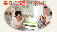 先週のニュースまとめ :沖縄セルラーから水耕栽培キット「やさい物語」が登場！フジテレビのVRアプリも登場【2016年11月12日 ～ 2016年11月18日】