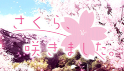 さくら、咲きました。：ロングランPCノベルゲームをスマホ化！　「さくら、咲きました。」を紹介！