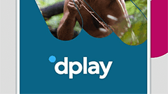 先週のニュースまとめ :ディスカバリーの動画配信サービス「Dplay」登場！ソフトバンクが新プラン！【2019年9月7日 ～ 2019年9月13日】